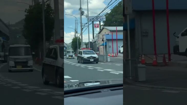 🚨大阪府警🚨パトカー🚨パトロール🚨赤色灯🚨　#shorts