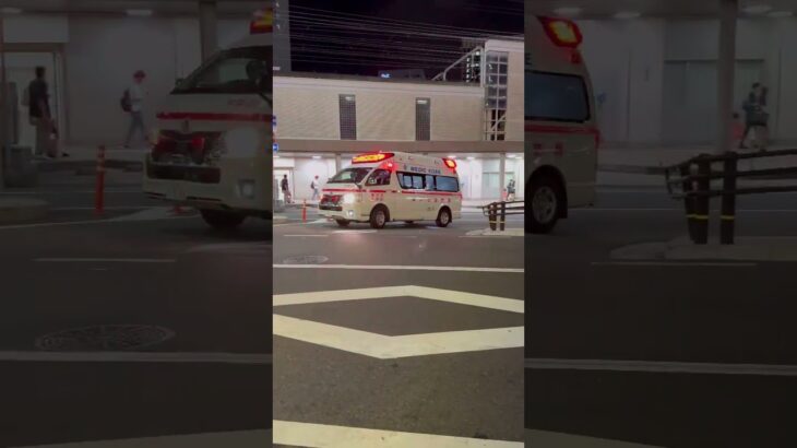 🚨響き渡るサイレン🚨救急車🚨緊急走行🚨赤色灯🚨神戸市消防局🚨　#shorts