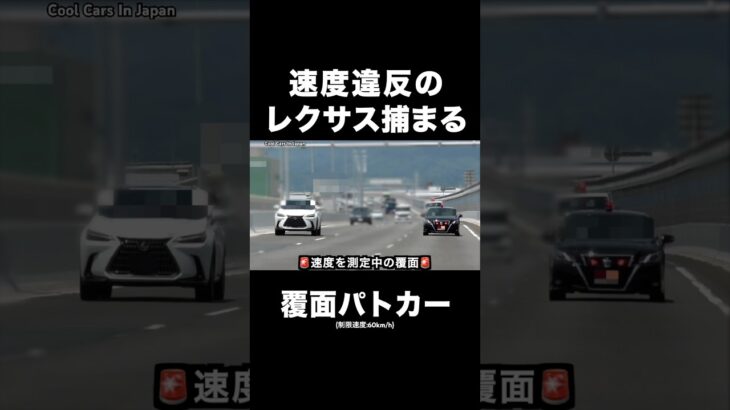 速度違反のレクサスが覆面に捕まる瞬間‼️ サイレン‼️ #覆面パトカー #shorts