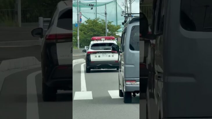 🚨兵庫県警🚨ノートパトカー🚨ミニパト🚨パトロール🚨　#shorts