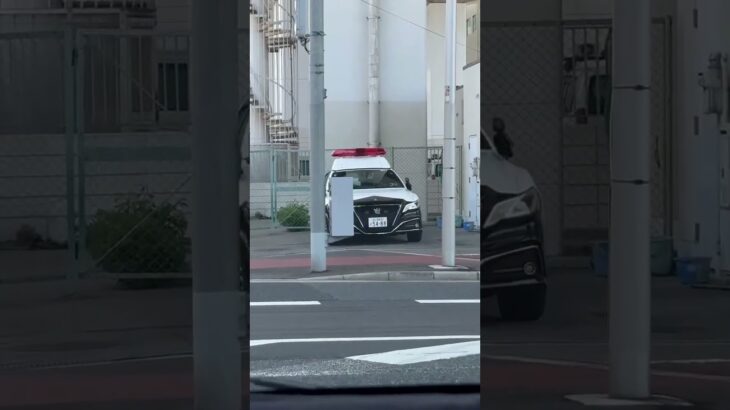 🚨大阪府警🚨パトカー🚨　#shorts
