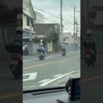 🚨仲良く走る警察バイク🚨兵庫県警🚨　#shorts #short #shortvideo