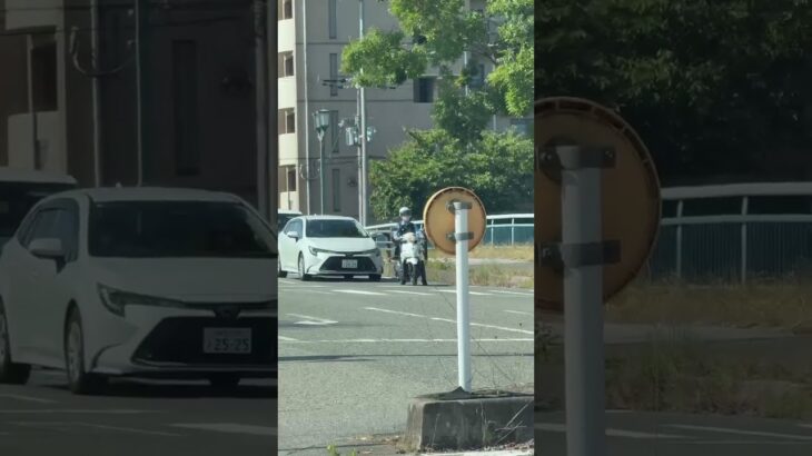 🚨警察バイク🚨兵庫県警🚨#shorts #shortsfeed #shortsvideo #はたらくくるま