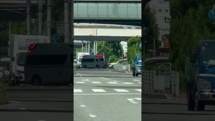 🚨交差点を緊急走行する救急車🚨 #救急車 #はたらくくるま #shorts #shortsfeed #shortsvideo