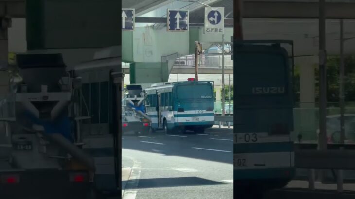 🚨警察車両🚨兵庫県警🚨赤色灯🚨　#shorts #shortsfeed #shortsvideo