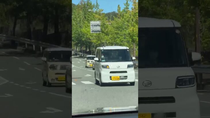 🚨パトカー🚨兵庫県警🚨パトロール🚨　#shorts #shortsfeed  #shortsvideo