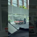 🚨違反車を捕まえた女性警察官🚨兵庫県警🚨　#shorts #shortsfeed #shortsvideo