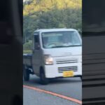 🚨違反車を捕まえたパトカー🚨兵庫県警🚨赤色灯🚨　#shorts #shortsfeed  #shortsvideo