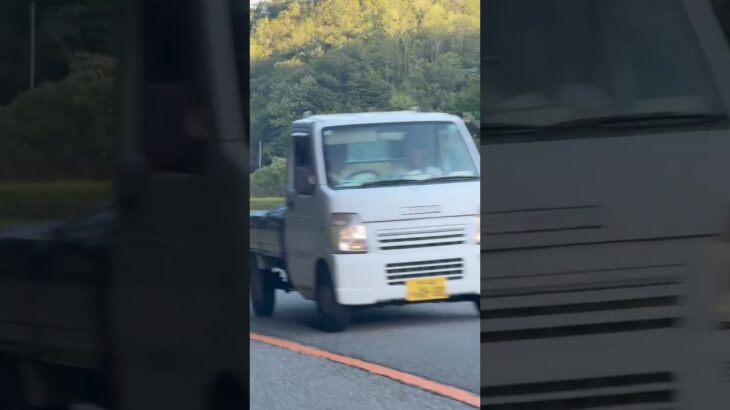 🚨違反車を捕まえたパトカー🚨兵庫県警🚨赤色灯🚨　#shorts #shortsfeed  #shortsvideo