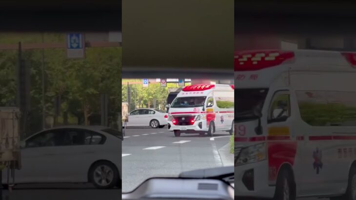 🚨響き渡るサイレン🚨救急車🚨緊急走行🚨西宮市消防局🚨　#shorts #shortsfeed #shortsvideo