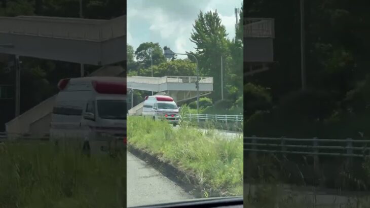 🚨救急車🚨赤色灯🚨走行動画🚨　#shorts #shortsvideo #shortsfeed