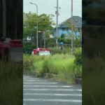 🚨消防車両🚨走行動画🚨　#shorts #shortsvideo #shortsfeed