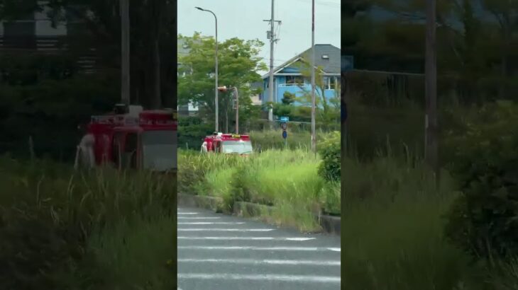 🚨消防車両🚨走行動画🚨　#shorts #shortsvideo #shortsfeed