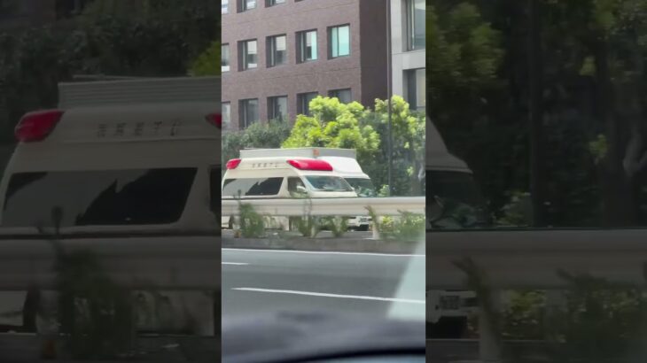 🚨救急車🚨緊急走行🚨赤色灯🚨サイレン🚨　#shorts #shortsvideo  #shortsfeed