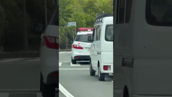 🩸日本赤十字🩸献血運搬車🩸　#shorts #shortsvideo #shortsfeed