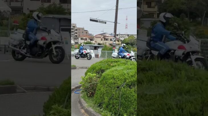 🚨覆面パトカー🚨白バイ🚨兵庫県警🚨#shorts #shortsvideo #shortsfeed