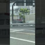 🚨救急車🚨緊急走行🚨サイレン🚨赤色灯🚨西宮市消防局🚨#shorts #shortsvideo #shortsfeed