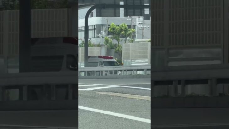 🚨救急車🚨緊急走行🚨サイレン🚨赤色灯🚨西宮市消防局🚨#shorts #shortsvideo #shortsfeed