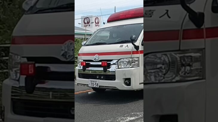 【緊急走行】鹿児島市消防局南本署非常用救急隊（喜入非常用代車運用中）