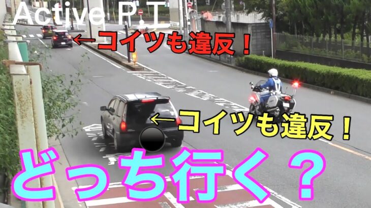 危うく白バイに体当たり！シェアカーが停止を無視した結果、その後ろの車両も違反した！