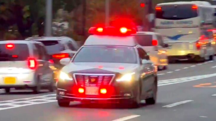 大阪や！ 大阪府警察本部前を緊急走行中のパトカー