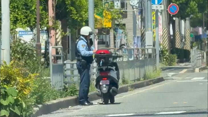 🚨連絡が入り通話する警察官🚨警察バイク🚨兵庫県警🚨