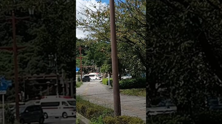 【緊急走行】鹿児島市消防局高度救急隊ドクターカー