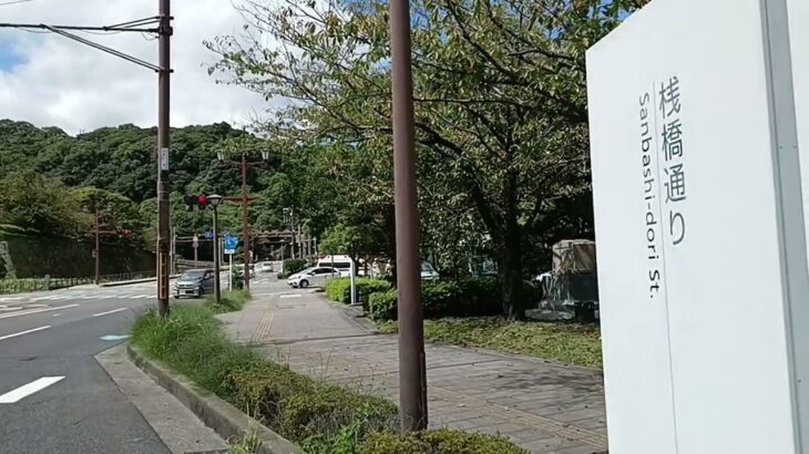 【緊急走行】鹿児島市消防局高度救急隊ドクターカー