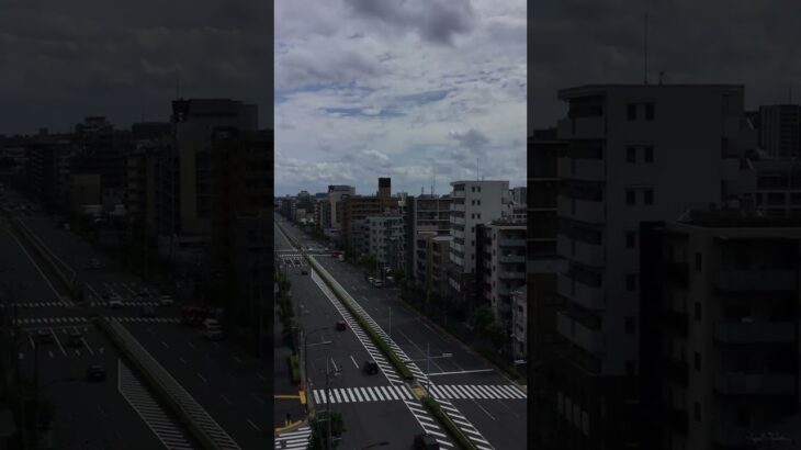 消防車と #救急車 が緊急走行
