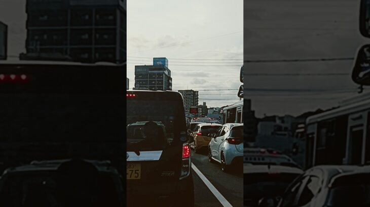 【緊急走行】鹿児島市消防局高度救急隊ドクターカー