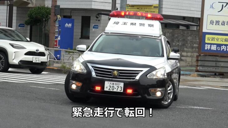 都県境の橋から飛び降り企図で警察署からパトカー急行！埼玉県警のパトカーも駆け付け緊急走行で転回！緊急保護したと思われる人を警察署に搬送！