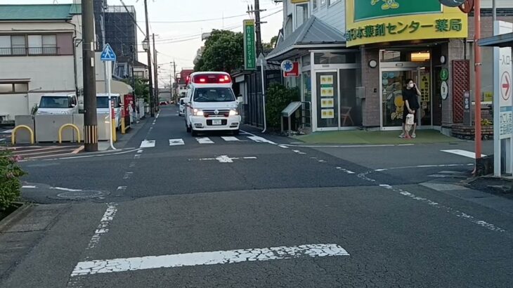 【緊急走行】鹿児島市消防局谷山救急隊（代車運用中）