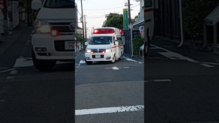 【緊急走行】鹿児島市消防局谷山救急隊（代車運用中）