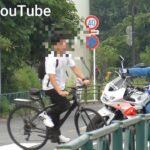【止まる気０%！！】ヤバ過ぎる運転に白バイが猛追！！•ズルしてバス専用レーンからごぼう抜き！！警察官が一網打尽！•そこから直進！？パトカーが緊急走行！•初見殺し的交差点で待ち構えるパトカー！等
