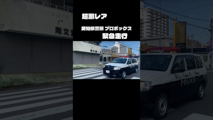 愛知県警察 トヨタ プロボックス パトカー 緊急走行 #愛知県警察 #愛知県警 #パトカー #警察 #トヨタ #プロボックス