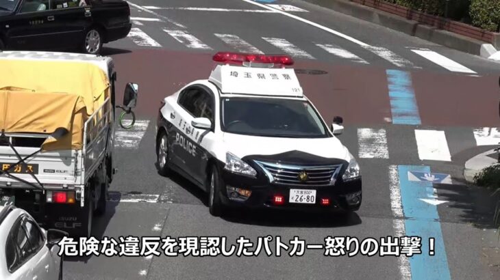 歩行者を絶対に先に渡らせない悪質なアルファードが歩行者妨害でパトカーに捕まった最高に気持ち良い結末!!