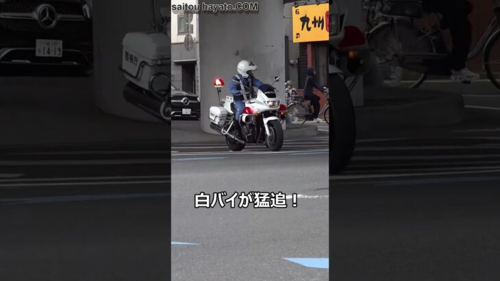 【白バイ猛追!!】左折車両の左折を待てず黄色実線を跨いだ横着な三輪スクーターが進路変更禁止違反で捕まる瞬間!!