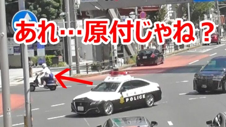 追われたら逃げる…あれ原付じゃね？交差点内でパトカー方向を変え緊急走行で原チャリを追う
