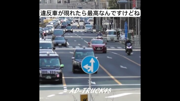 白バイ発進！路地から大通りを緊急走行で横断し違反車を追う