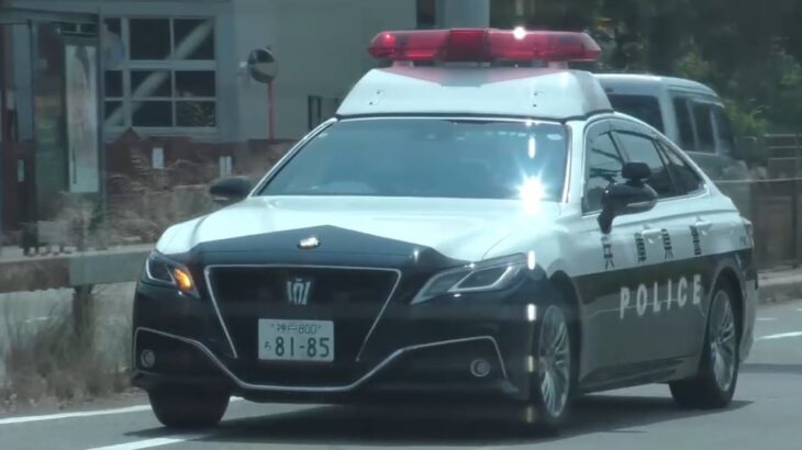 🚨パトカー🚨走行動画🚨パトロール🚨兵庫県警🚨