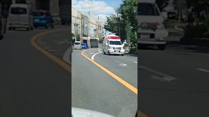 エルグランド救急車 緊急走行【大和市消防本部】