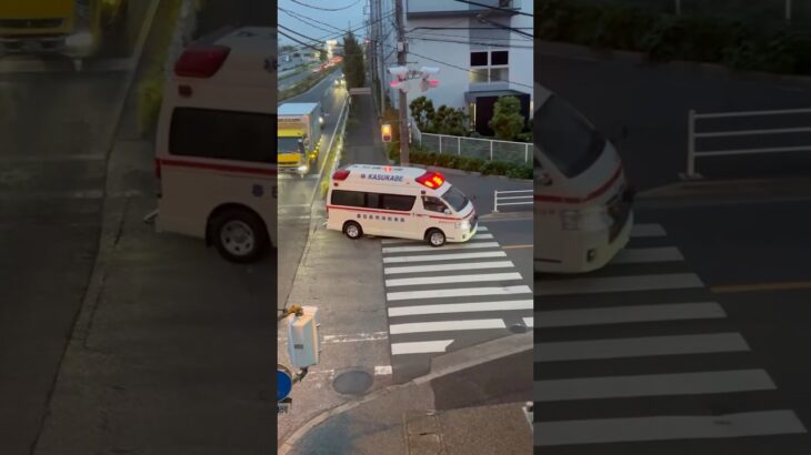 【ハーモニックサイレン🚨】春日部市消防本部　救急車　救急浜川戸1。緊急走行シーン🚨