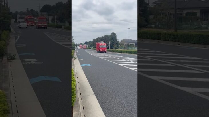 【隊列走行!】さいたま市消防局 岩槻1.岩槻指揮1・岩槻救助1。緊急走行シーン!