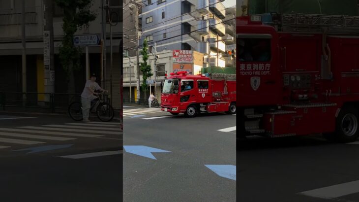 東京消防庁、消防車緊急走行2