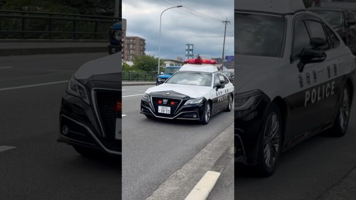 220系パトカー緊急走行🚨
