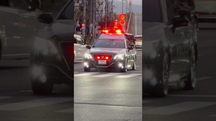 【福岡県警】220系パトカーマイクで注意しながら交差点に侵入緊急走行🚨