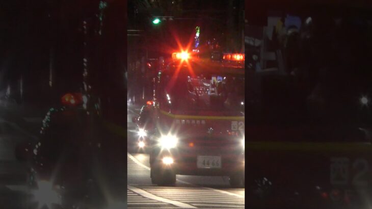 【緊急走行】西消西宮2、西宮指揮が火災現場へ緊急走行！【西宮市消防局】#shorts #short #ショート #消防署 #消防車 #fire #firefighter #サイレン #short