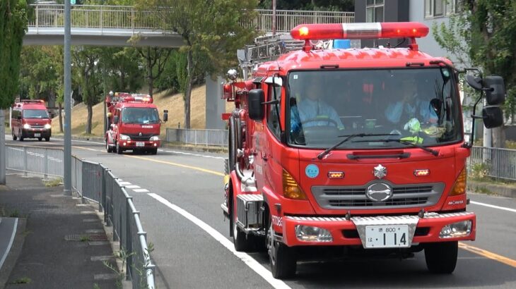 【堺市南区救助出場】一般救助入電！共同住宅、高層階の室内で人が倒れているとの通報！！南中隊が隊列を組み、6台連続緊急走行！！！【堺市消防局】《RESCUE RESPONSE》