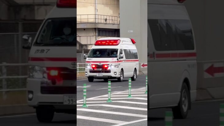 【 #福岡市消防局 】救急7緊急走行🚨 #救急車 #緊急走行 #消防署