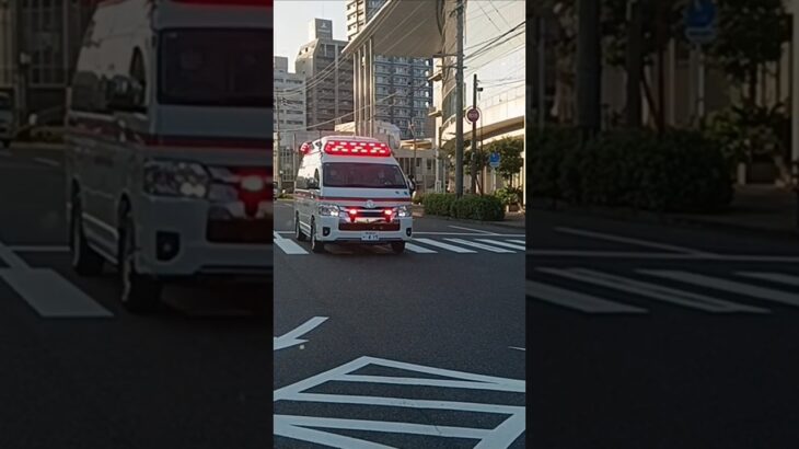 【緊急走行集86】ハイメディック！鹿児島市消防局救急車等